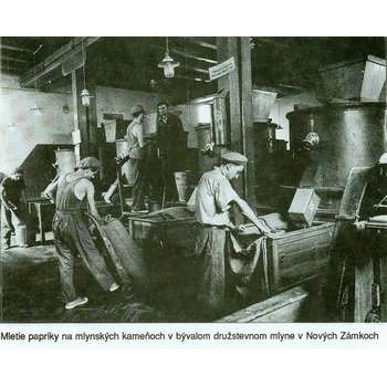 Družstevný mlyn